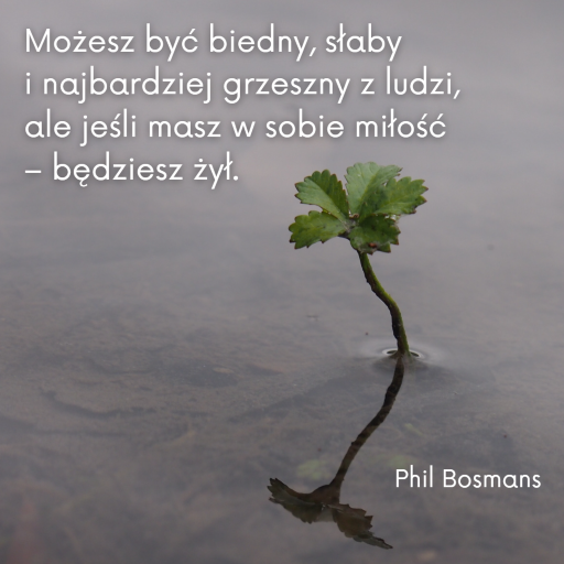 47. Bosmans_pol